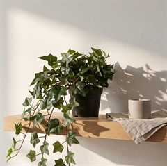 Kunstig Hængende Hedera - 60 cm.